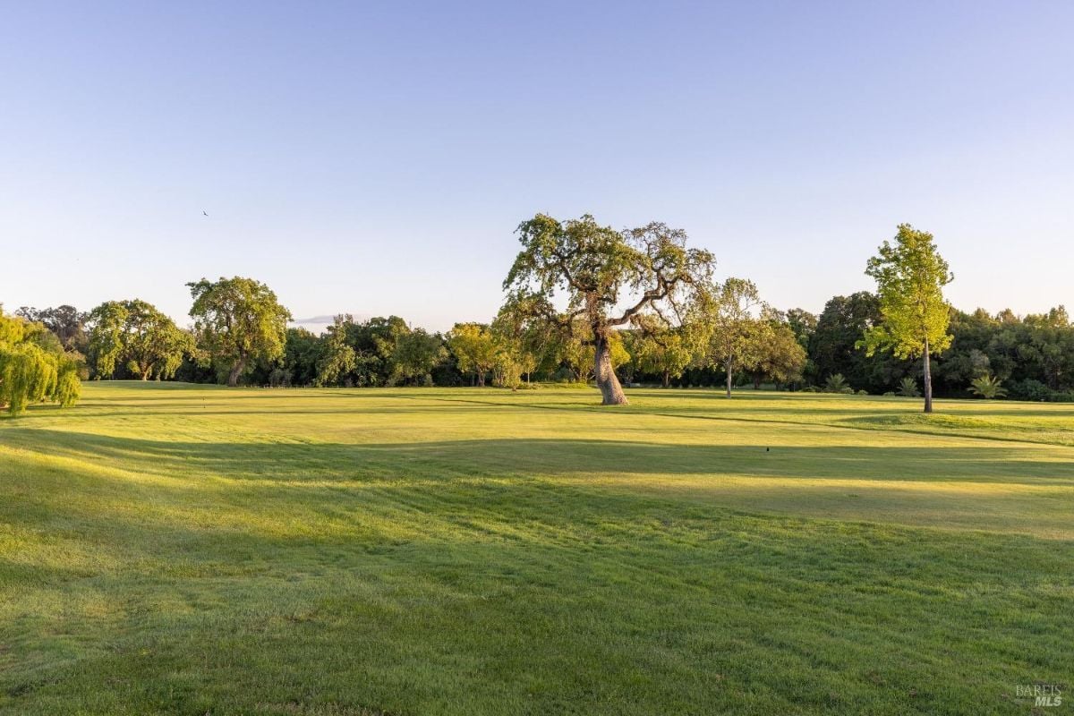 Open grassy field with a mix of tall and shorter trees scattered throughout. A prominent twisted tree with thick branches stands near the center of the scene. The background features more trees and a clear sky with long shadows cast across the lawn, indicating the sun is low in the sky.