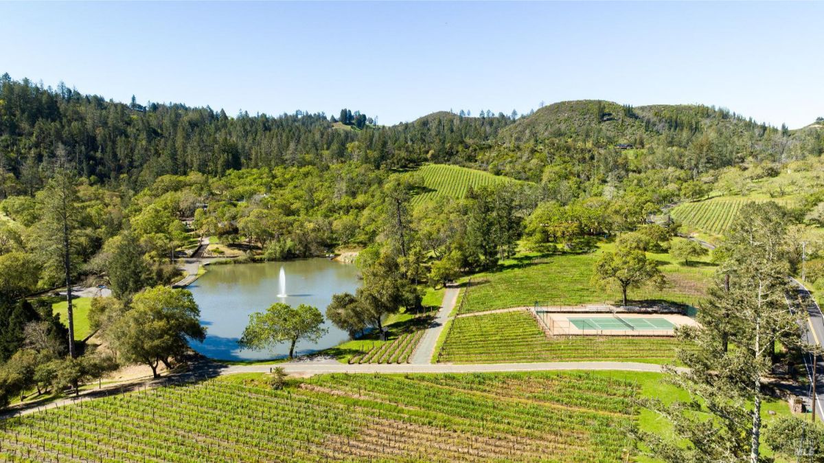 A picturesque vineyard stretches out under a clear blue sky, with a serene pond and a tennis court adding to the idyllic setting. Rolling hills and lush greenery complete the scene.