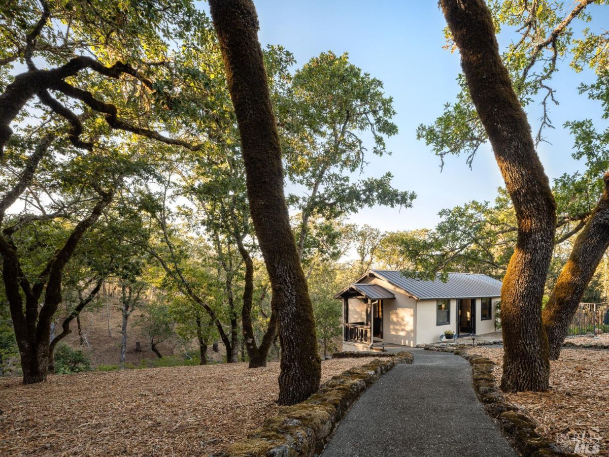 The pathway leading to the quaint house winds through tall trees, emphasizing a sense of seclusion and connection with nature.
