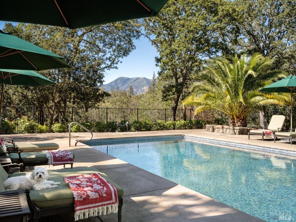 A sparkling pool surrounded by green lounge chairs and umbrellas. The background features a scenic view of trees and distant hills, with a dog lounging on one of the chairs.