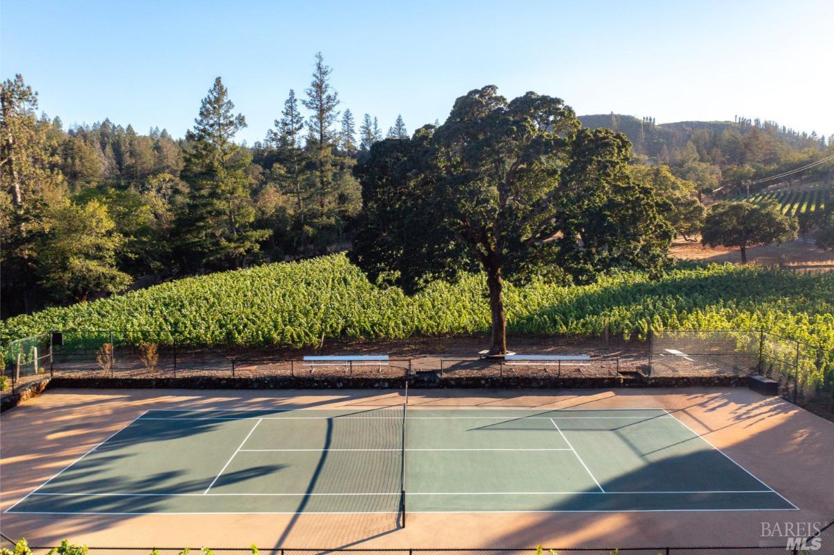 Another view of the tennis court amid vineyard rows, set against a backdrop of rolling hills and a clear blue sky, emphasizing harmony with nature.