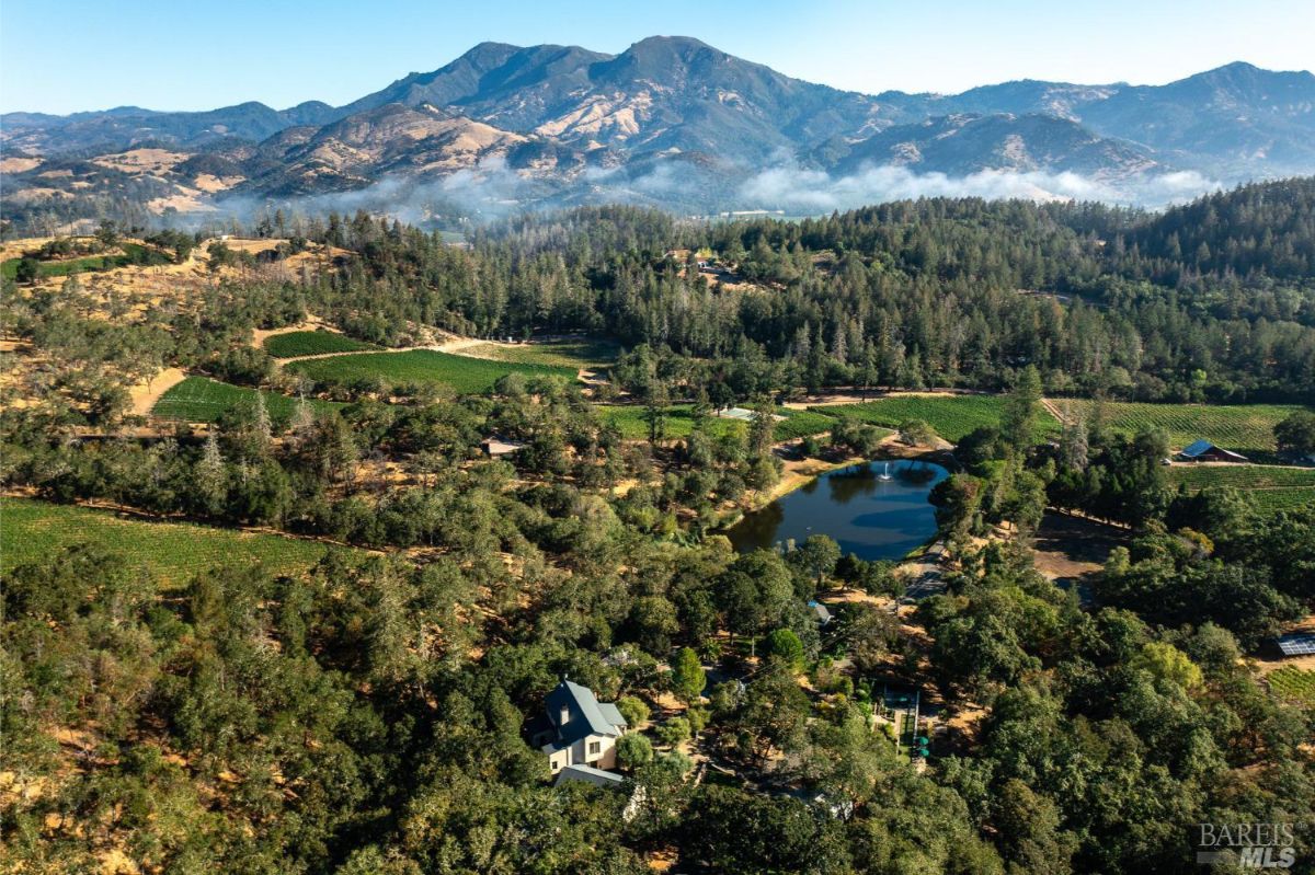 A breathtaking aerial view of vineyards, a reflective pond, and distant mountain ranges, with patches of mist lingering over the wooded areas, creating a dreamy, peaceful atmosphere.