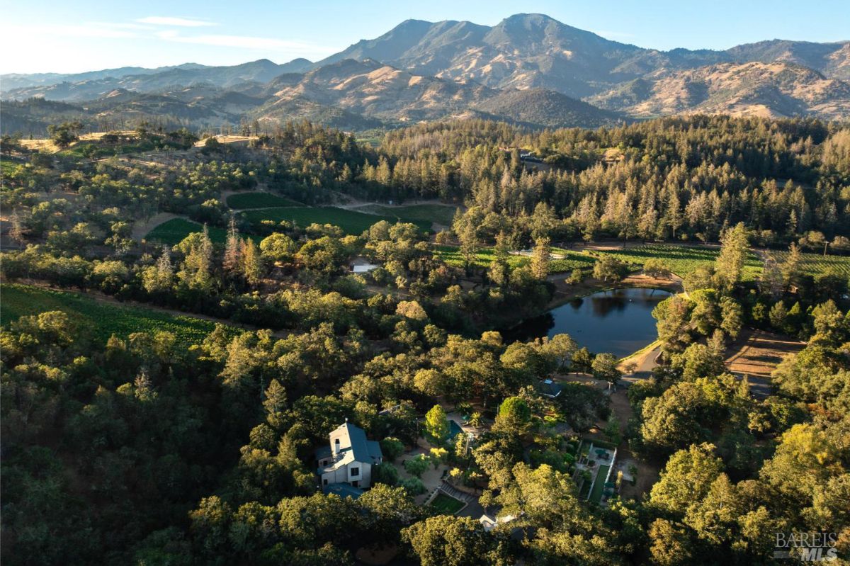  A panoramic view showcasing lush vineyards, a glistening pond, and majestic mountain ranges in the background under a clear, sunny sky.