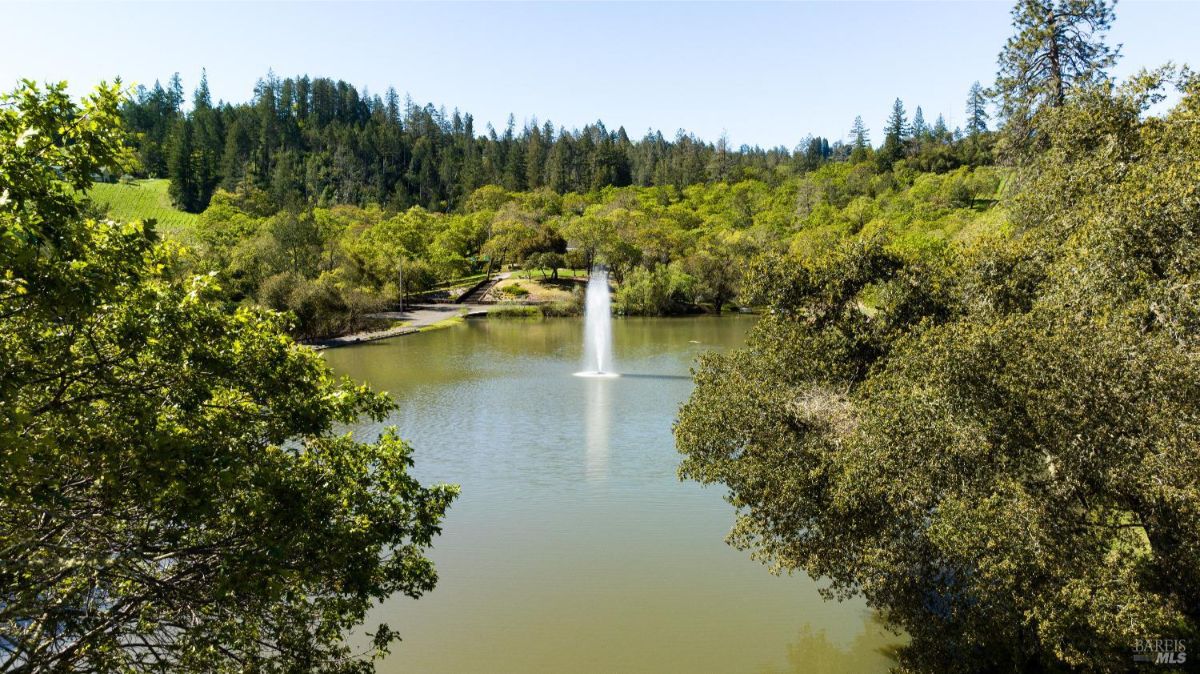 A serene lake surrounded by lush greenery, with a gentle fountain adding a touch of tranquility to the scene.