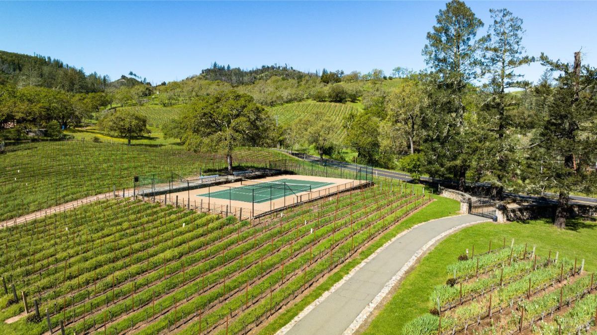 A well-maintained tennis court sits amidst a picturesque vineyard, surrounded by rolling hills and a clear blue sky.