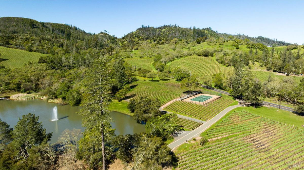A picturesque vineyard stretches out under a clear blue sky, with a serene pond and a tennis court adding to the idyllic setting. Rolling hills and lush greenery complete the scene.
