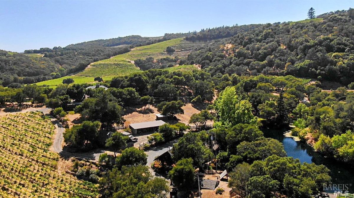 A vineyard landscape with rows of grapevines across rolling hills. A small cluster of buildings, surrounded by trees, is situated in the center of the scene. A reflective pond is visible on the right side of the image, bordered by dense greenery.