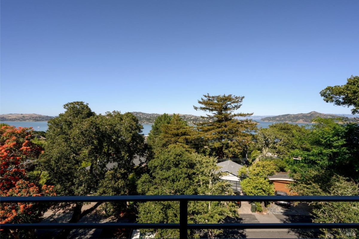 Outdoor view from a balcony overlooking a residential area with trees and a body of water in the background.
