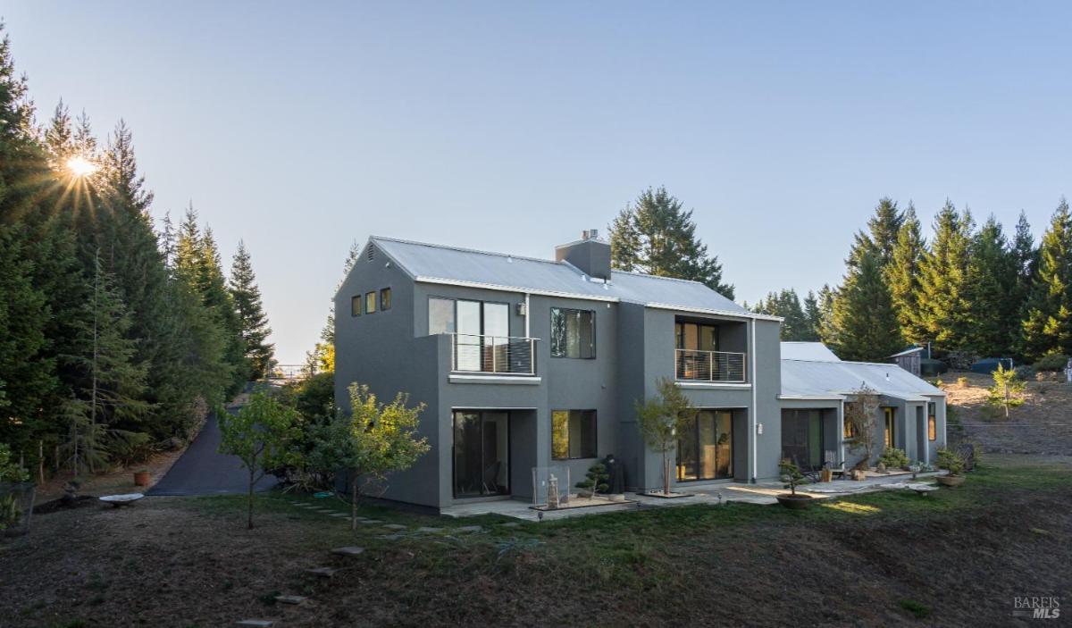 Rear view of a modern house surrounded by trees.