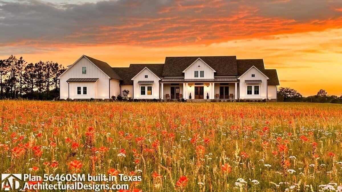 Explore This Texas Farmhouse Nestled in a Field of Wildflowers