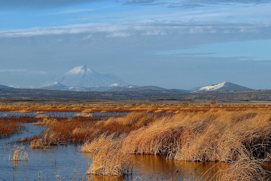 The current image has no alternative text. The file name is: Tule_Lake_Lower_Marsh.jpg