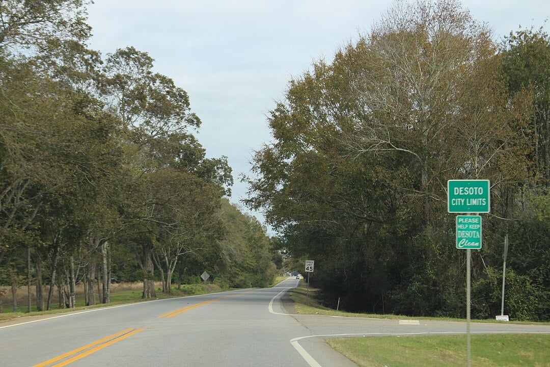 De Soto Town Image