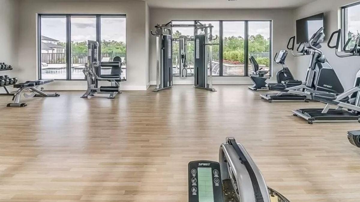 Work Out With a View in This Sunlit Home Gym