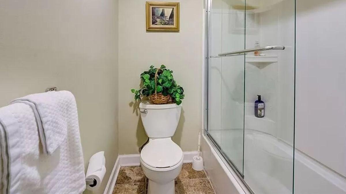 Functional Bathroom with Glass Enclosed Tub and Greenery