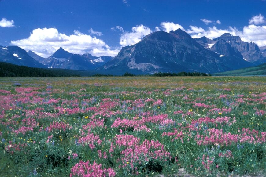 The current image has no alternative text. The file name is: Red_Eagle_Mountain_Glacier.jpg
