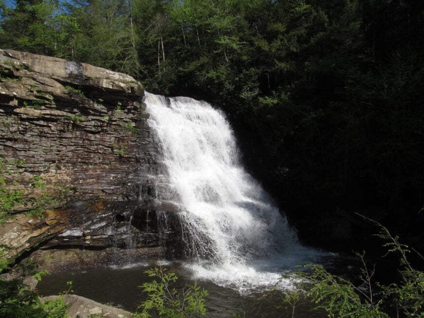 The current image has no alternative text. The file name is: Swallow_Falls_State_Park_-_Maryland.jpg