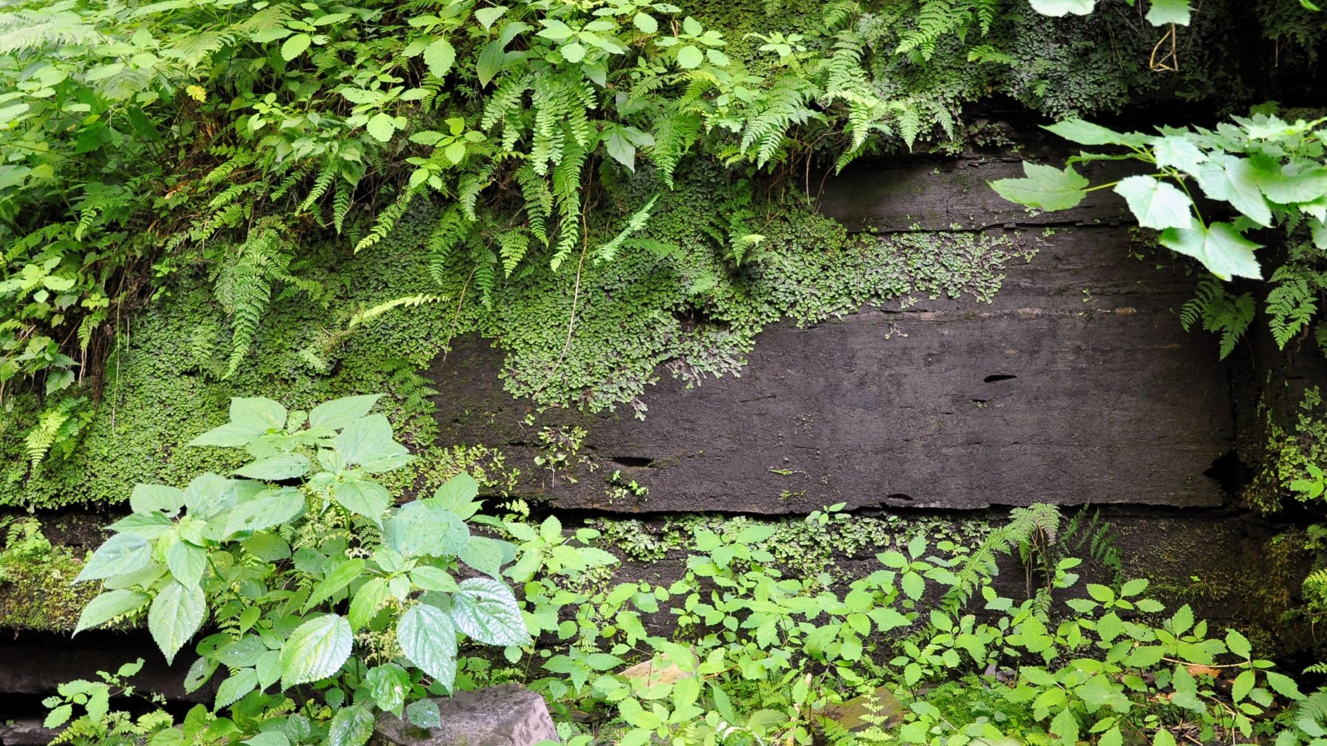 Whetstone Gulf State Park