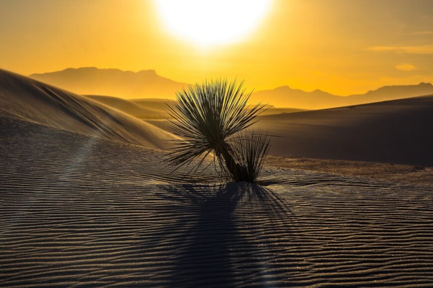 The current image has no alternative text. The file name is: White_Sands_National_Monument_-_New_Mexico.jpg