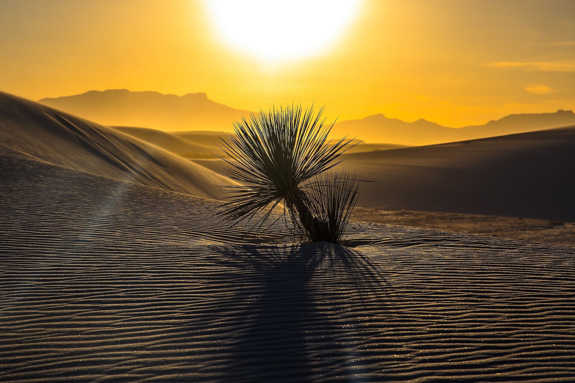 16 Small Towns in New Mexico Where Photographers Can Capture Desert Landscapes in All Their Otherworldly Glory