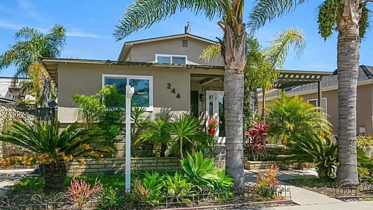 A Lush Front Yard with Tropical Vibes and Cool Palms