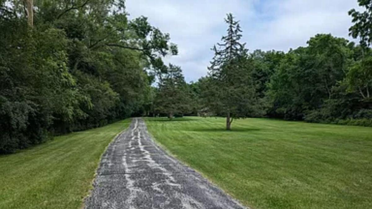 The Long Approach: A Tree-Lined Driveway Creates Anticipation