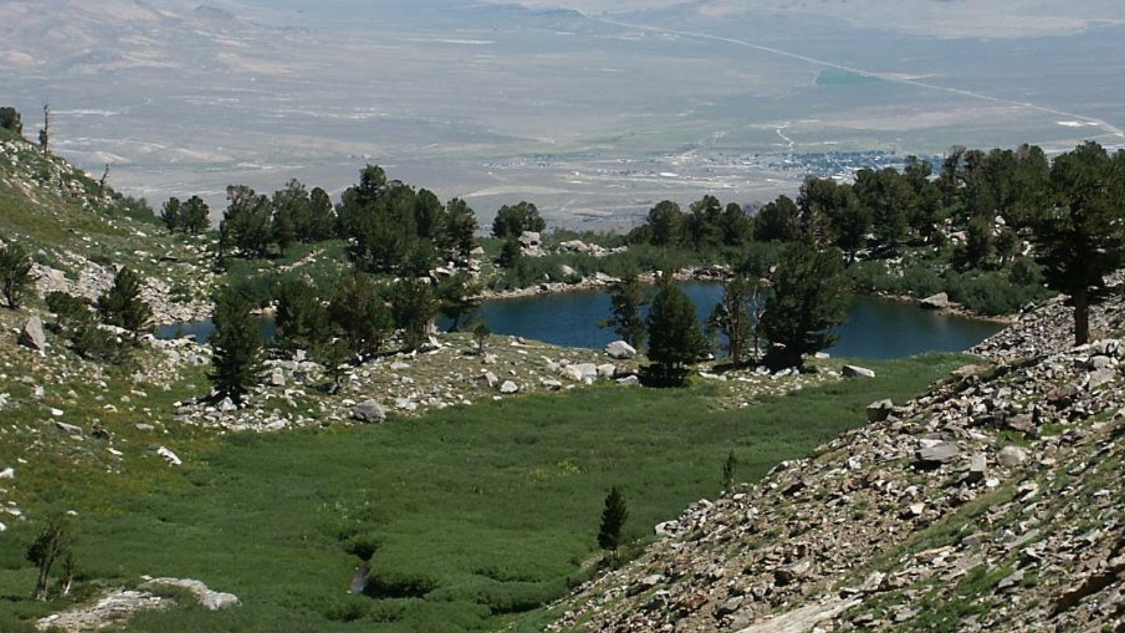 Smith Town Image