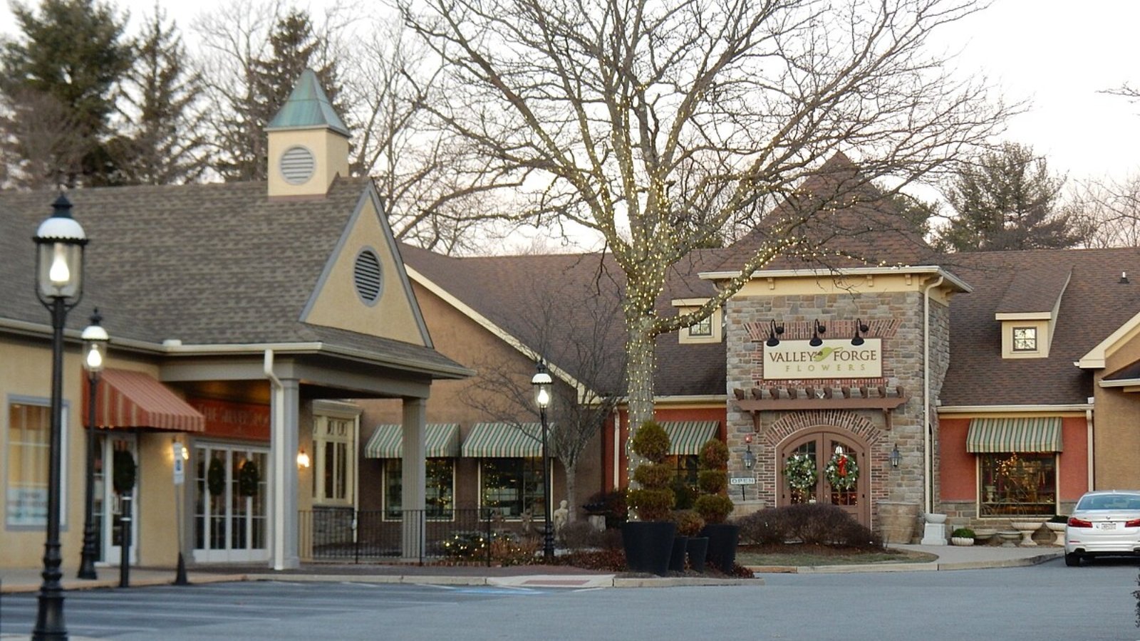 Wayne Town Image