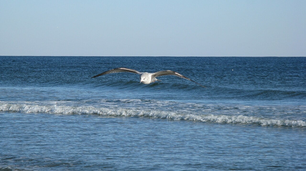 Sunset Beach Town Image