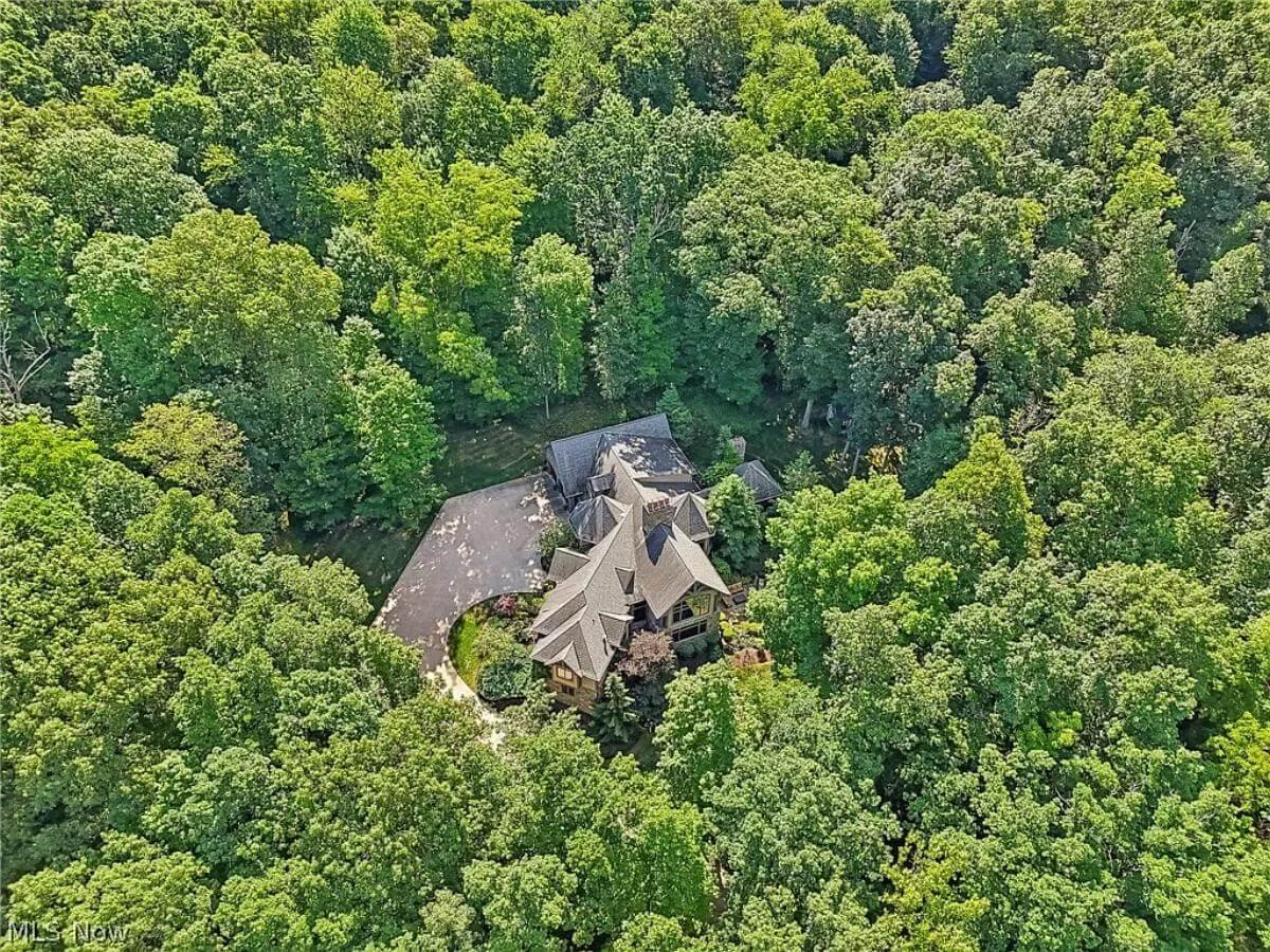Hidden Gem Nestled in a Sea of Greenery Reveals Its Charm