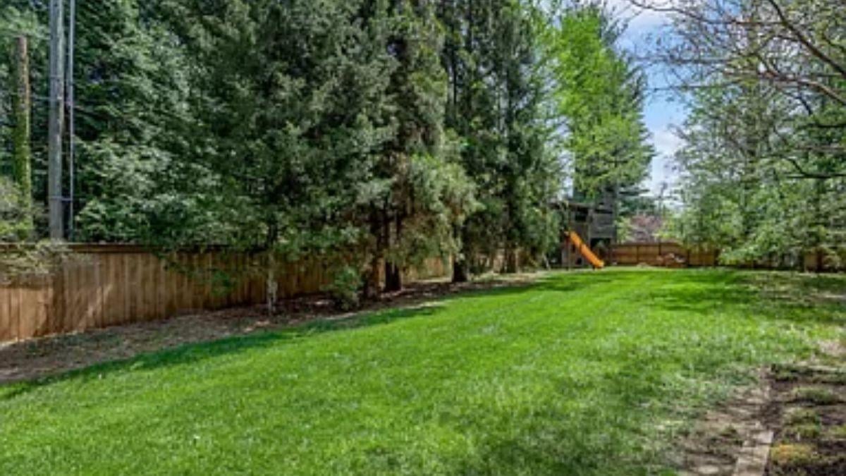 Expansive Backyard Oasis Framed by Towering Pines