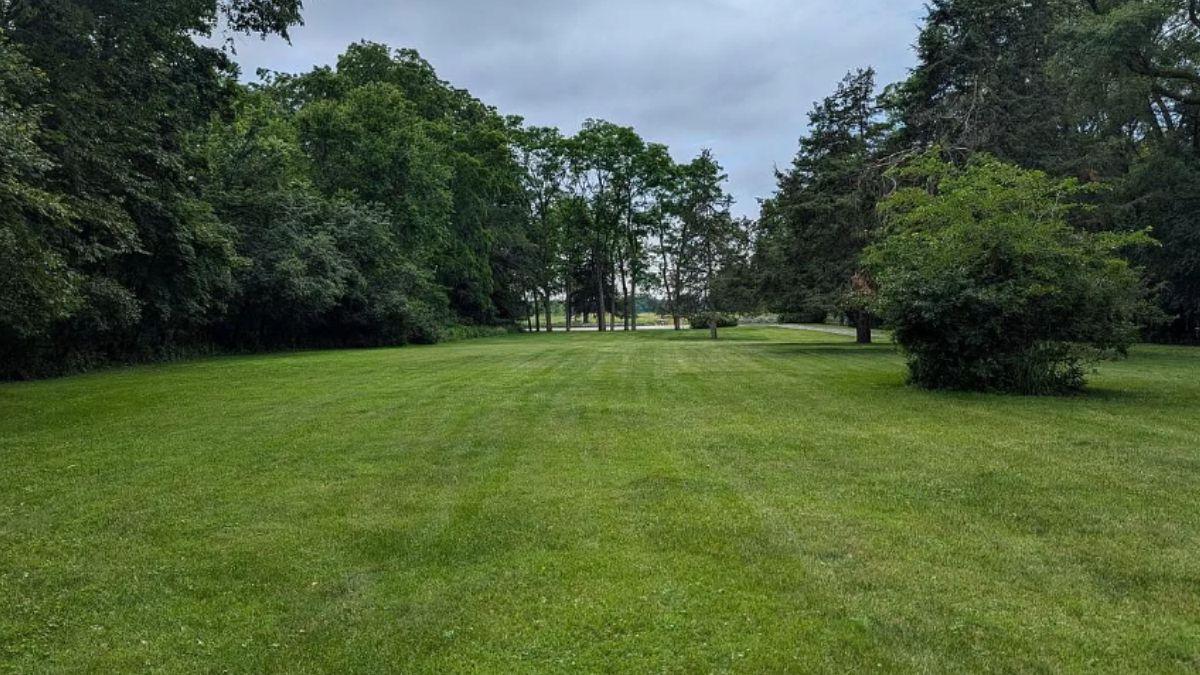 Endless Green Lawn Perfect for Outdoor Gatherings