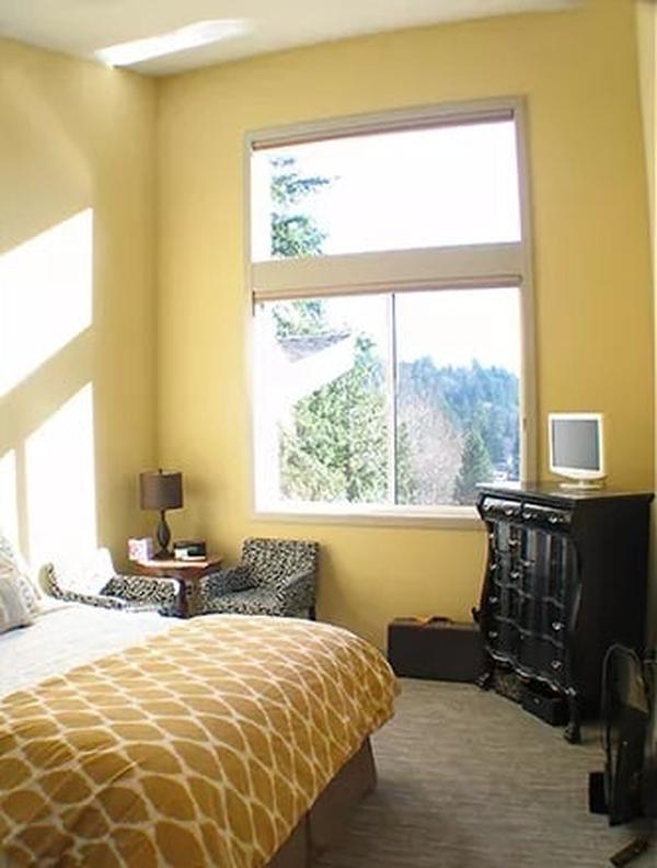 Sunlit Bedroom with a Touch of Nature