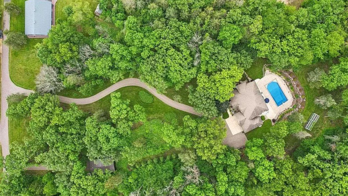 Lush Green Haven with Winding Driveway Drawing You In