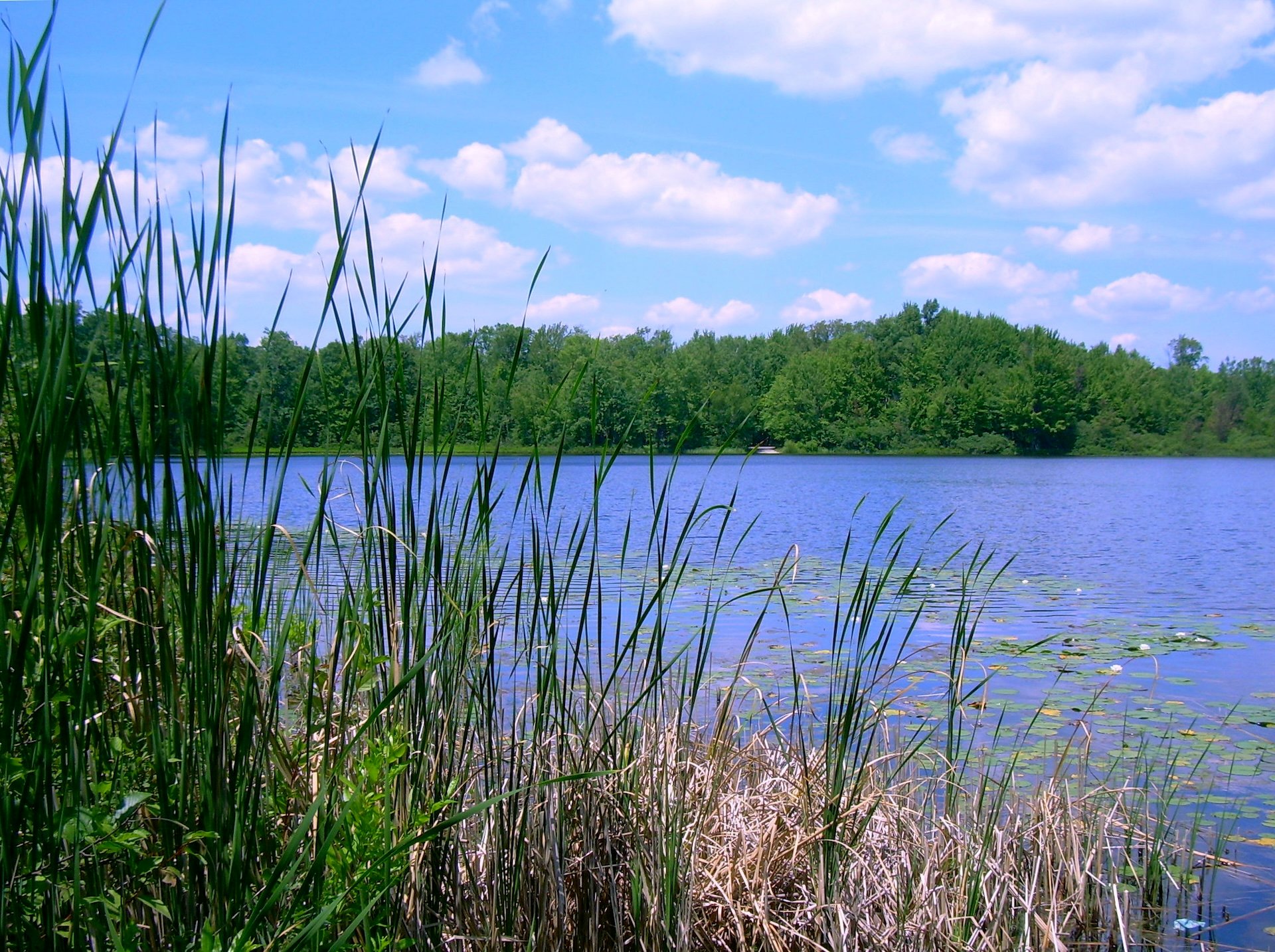 10 Secluded Neighborhoods Hidden Deep in the Forests of Western Michigan
