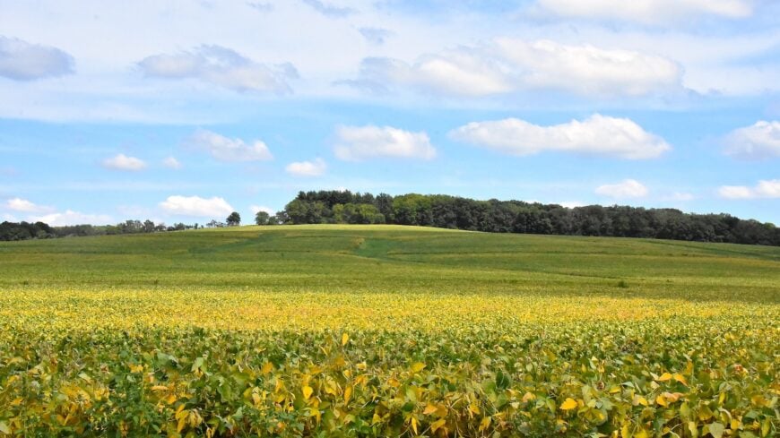 The current image has no alternative text. The file name is: Charles_Mound.jpg