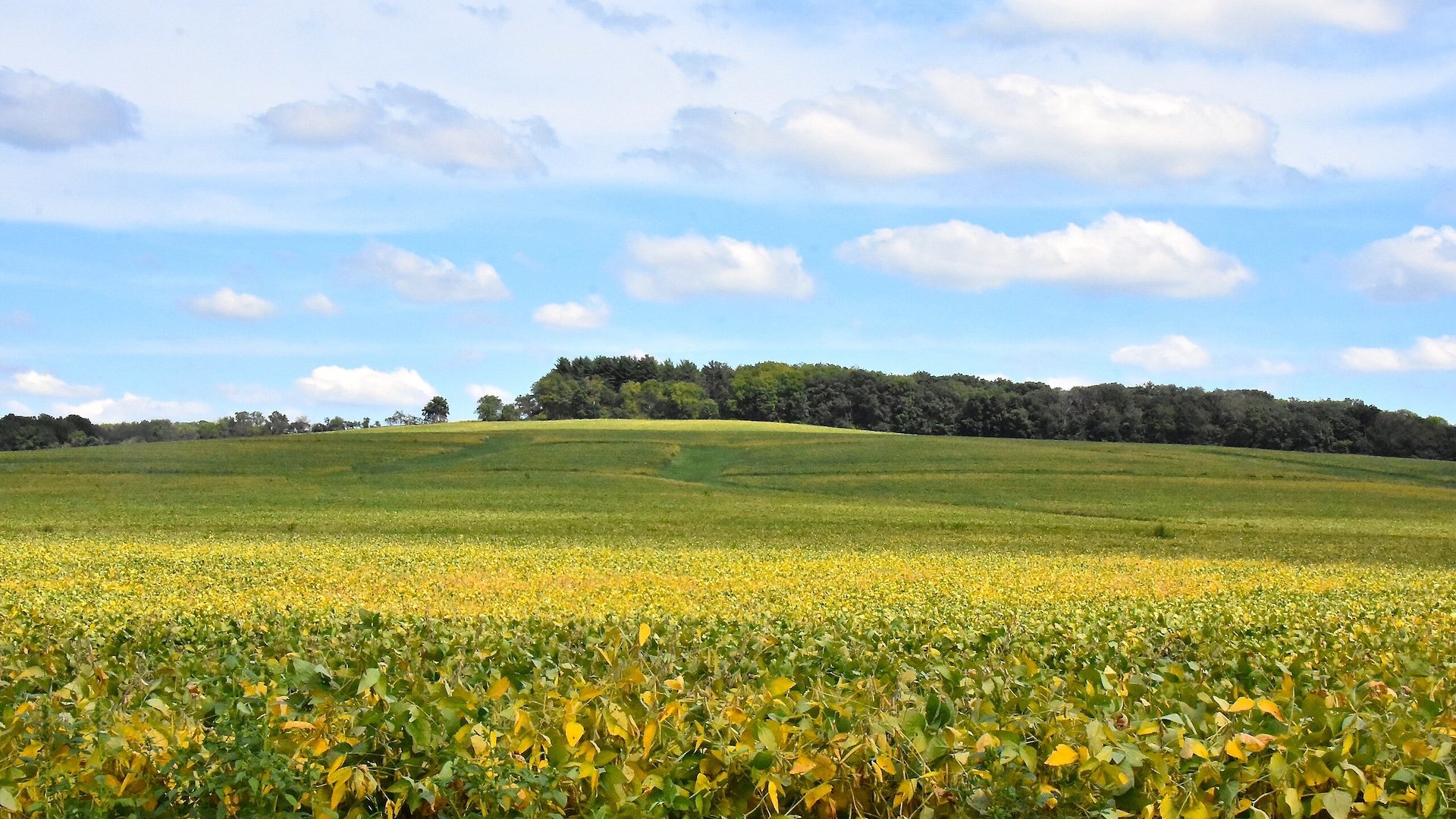 10 Secluded Towns Where Beauty Wins Out in the Northern Illinois Driftless Area
