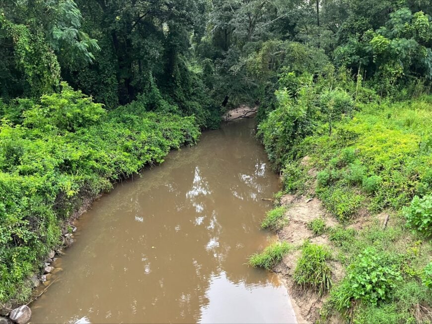 The current image has no alternative text. The file name is: Chickasawhay_Creek.jpg