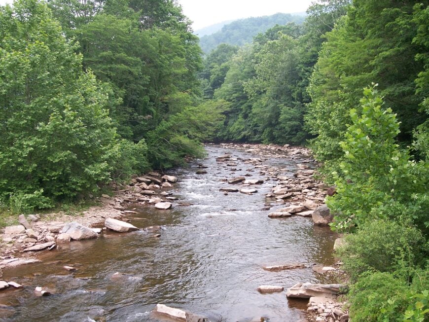 The current image has no alternative text. The file name is: Dry_Fork_Cheat_River_West_Virginia.jpg