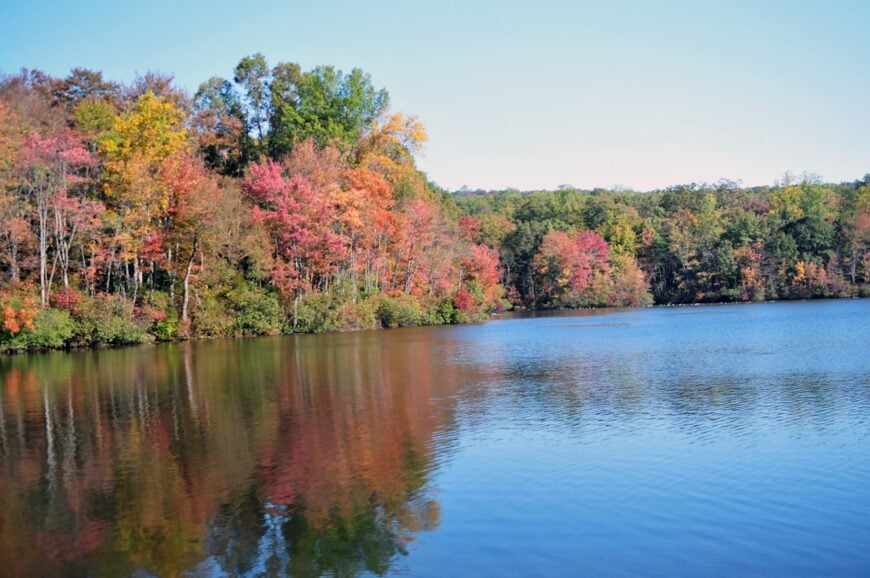 The current image has no alternative text. The file name is: French_Creek_State_Park_PA.jpg