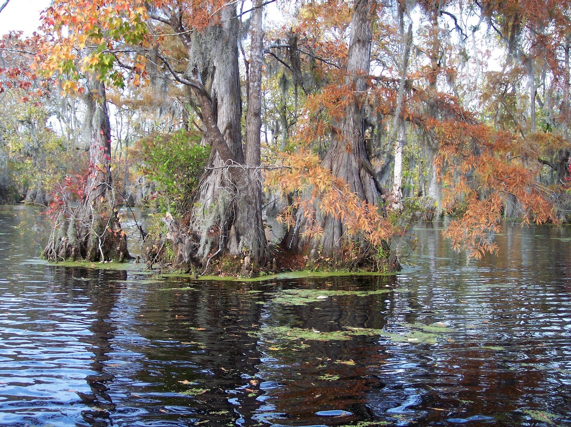 15 Small Towns in Northern North Carolina Just Minutes from Area Hiking Trails