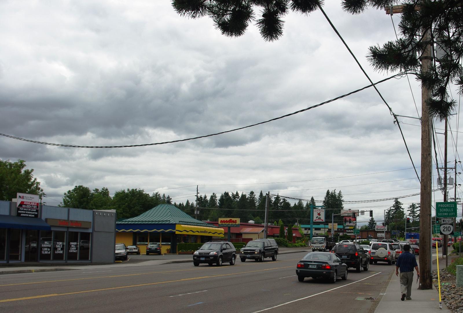 Raleigh Hills Town Image