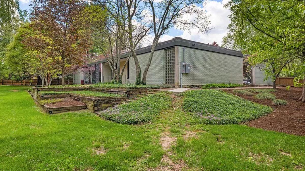 Mid-Century Modern Vibes with Striking Horizontal Lines