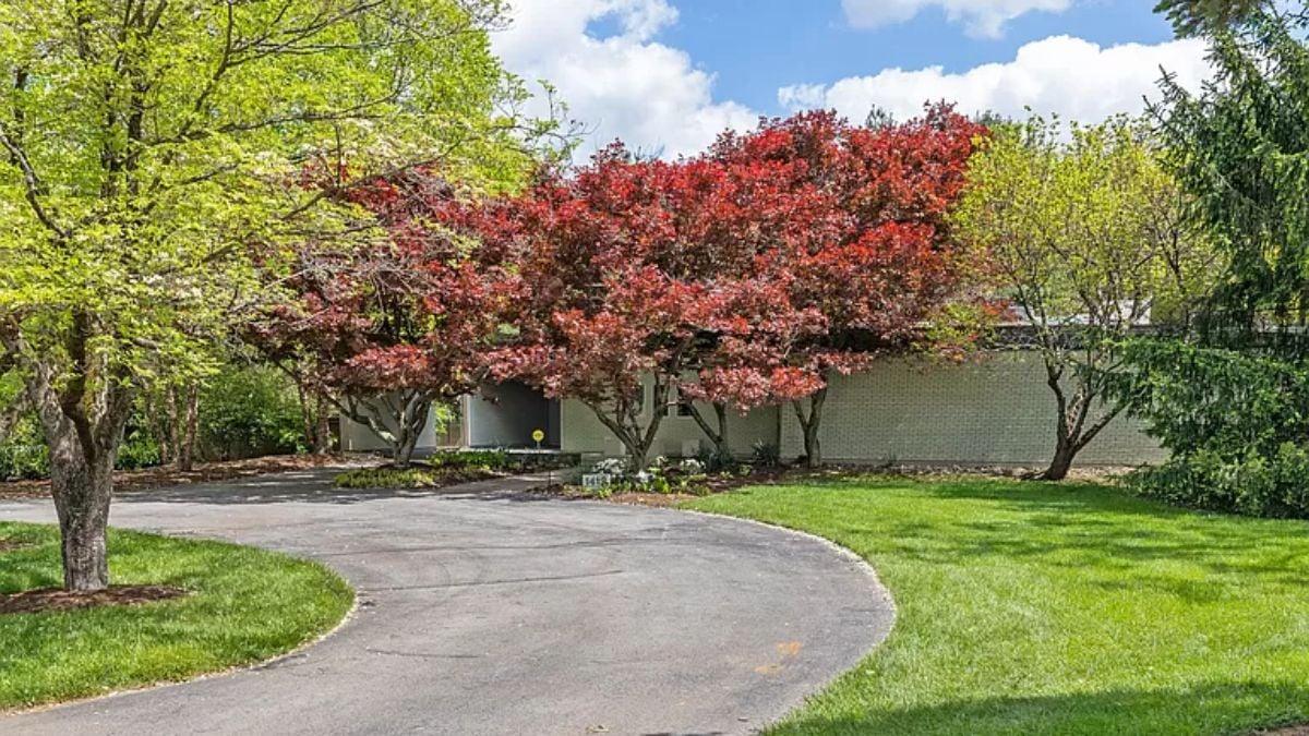 A Canopy of Color Leads to This Secluded Entryway