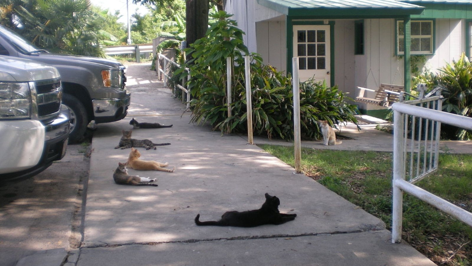 Henderson LA Town Image