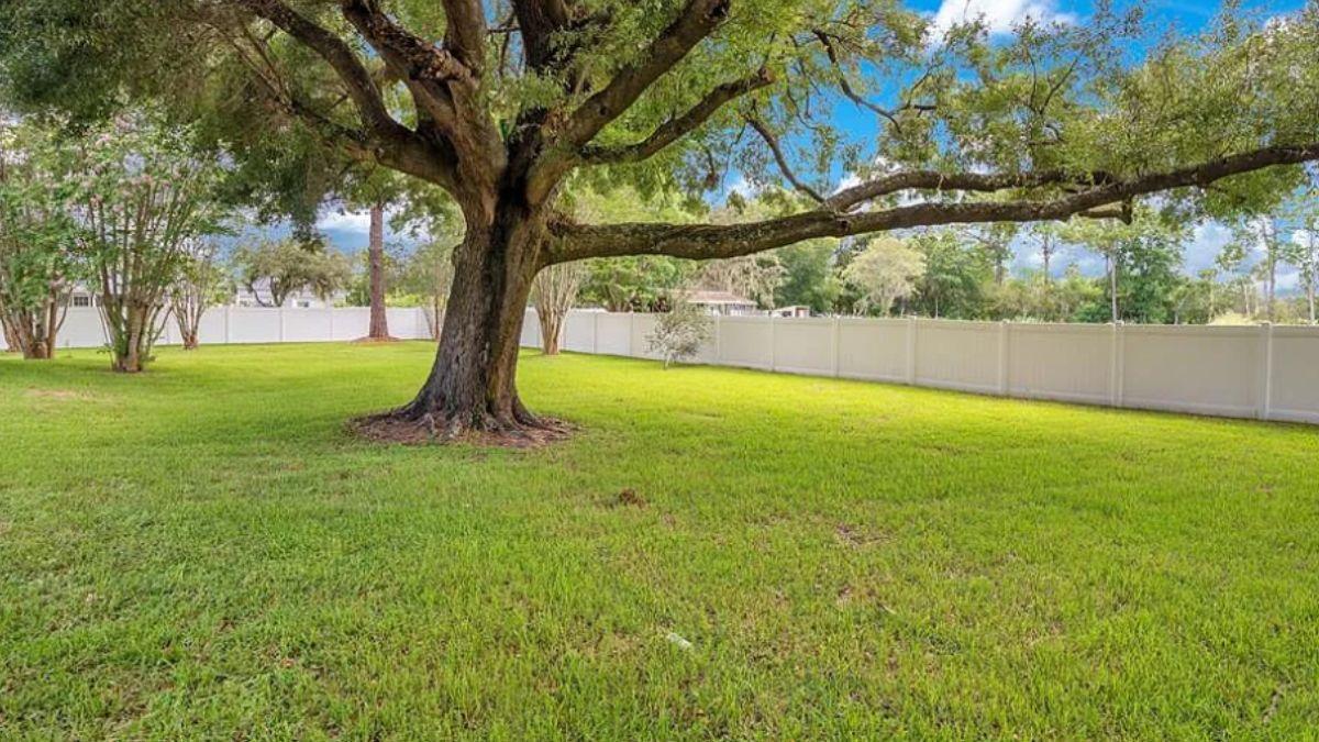 Majestic Oak Tree Anchors This Expansive Backyard Retreat