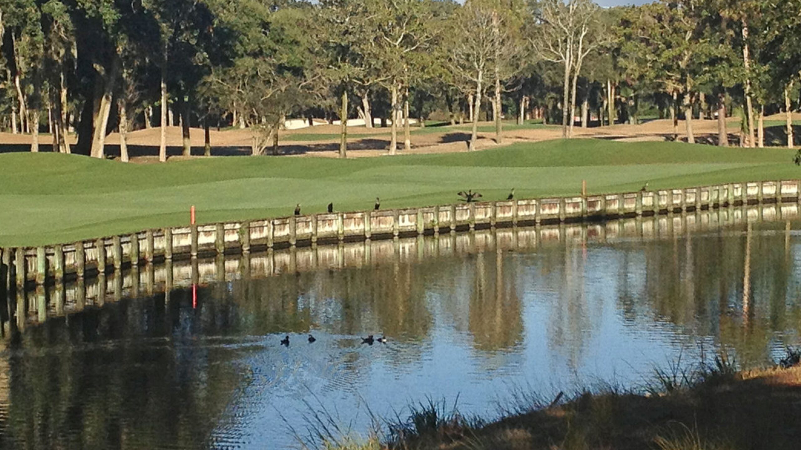 Kiawah Island SC Town Image
