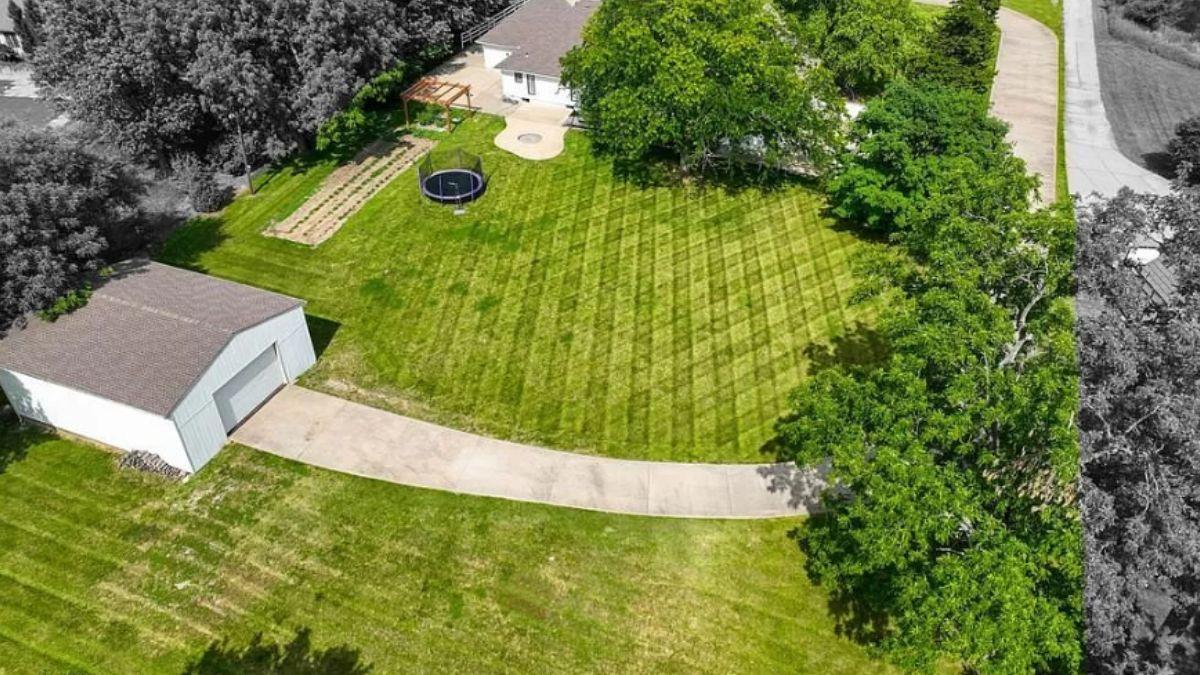 Discover Outdoor Leisure with a Hidden Trampoline and Lush Greenery
