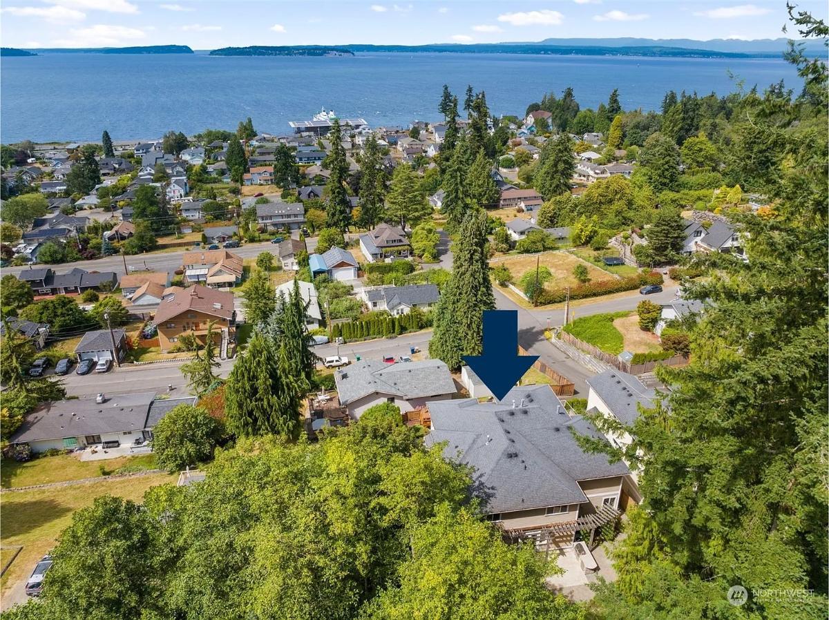 Aerial View of a Coastal Neighborhood Enveloped by Verdant Trees