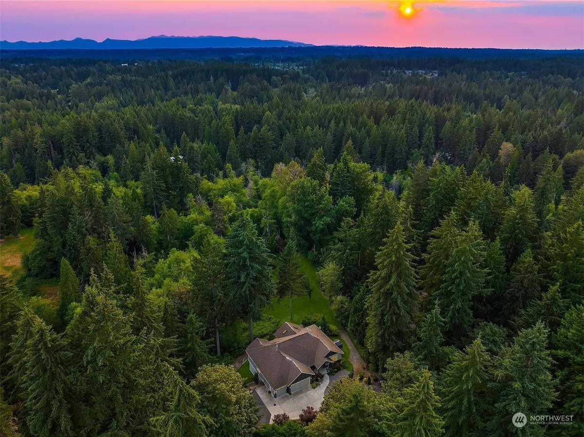 Embrace the Serenity of This Craftsman Retreat Hidden in the Forest