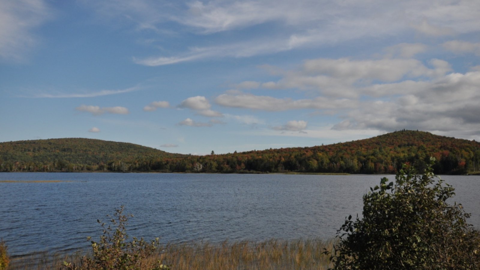 Dummer NH Town Image